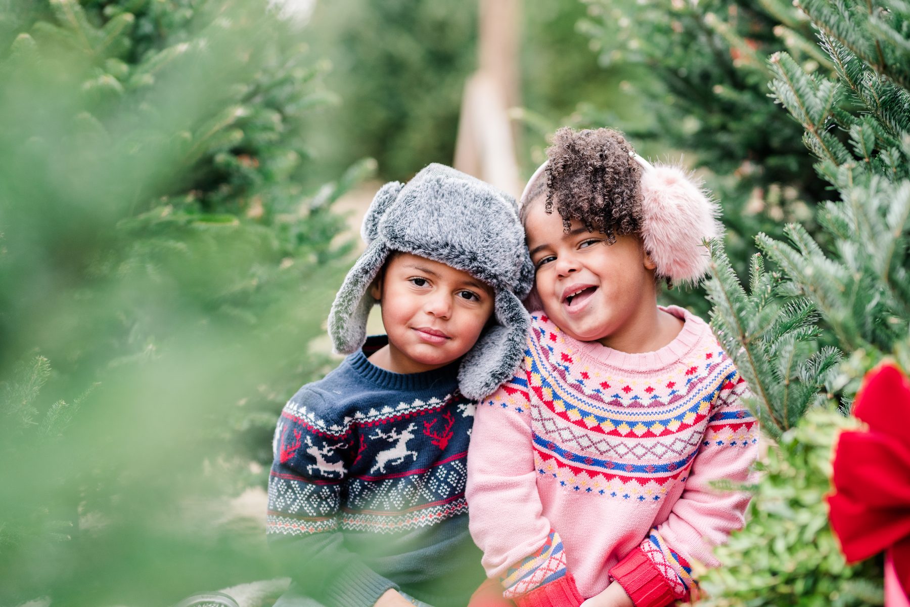 A Kevin + Brooklyn Christmas Hemlock Tree Farm Northern Lights Blog